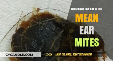 Decoding Canine Ear Health: Black Ear Wax and Mites Connection