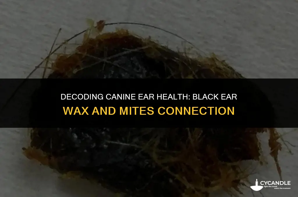 does black ear wax in dog mean ear mites