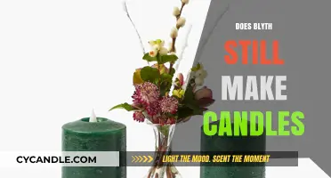 Does Blyth Still Make Candles? Unveiling the Brand's Current Offerings