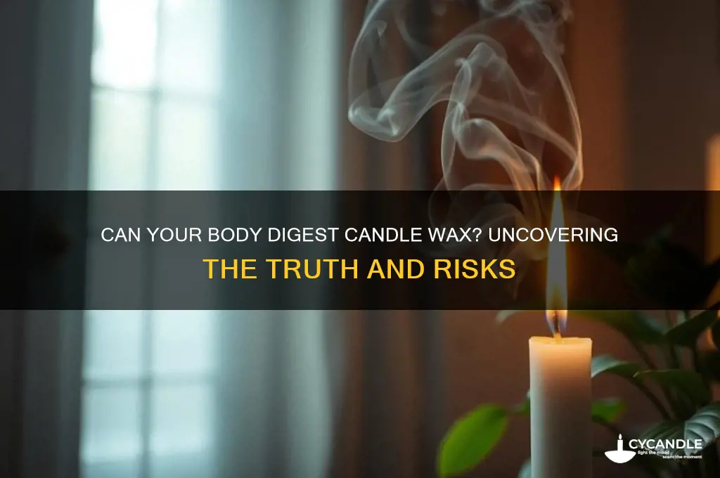 does body digest candle wax