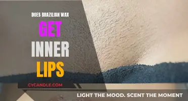Exploring the Brazilian Wax: Does It Include the Inner Lips?