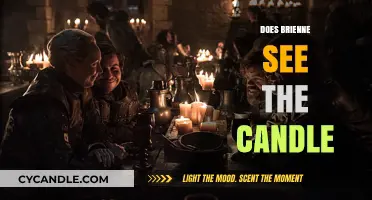 Brienne's Candle Conundrum: Did She See the Light?
