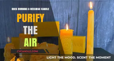 Beeswax Candles: Natural Air Purifiers or Just a Myth?