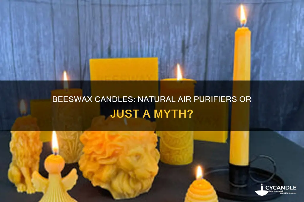 does burning a beeswax candle purify the air