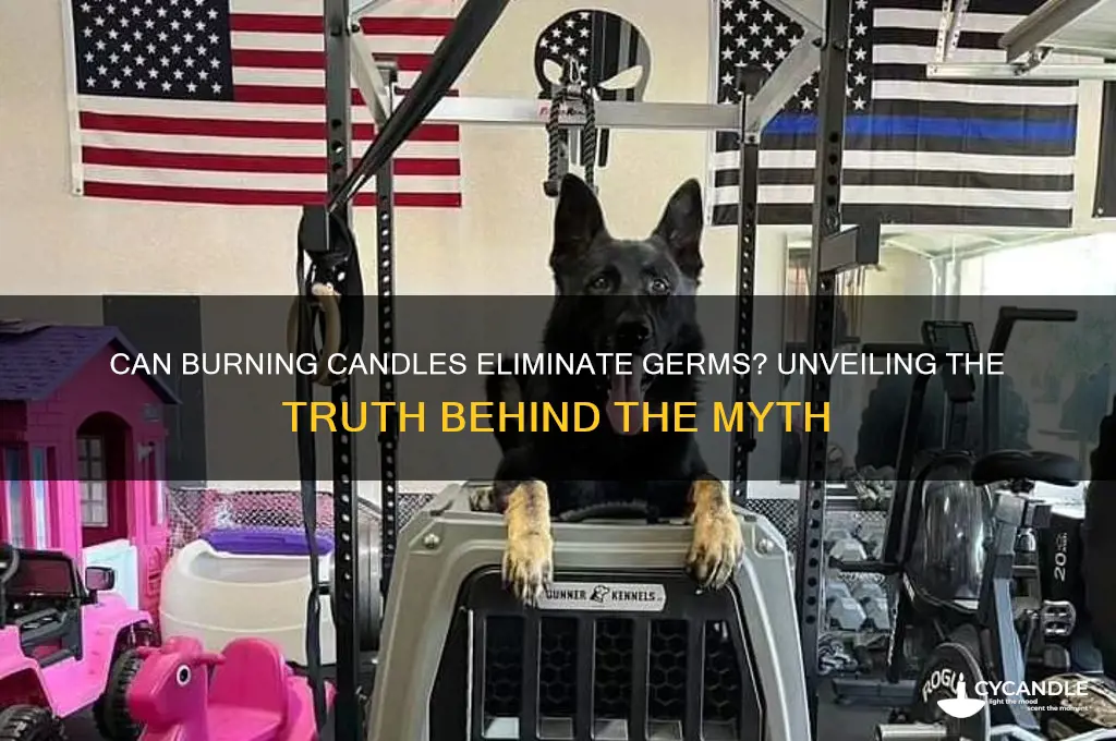 does burning a candle get rid of germs