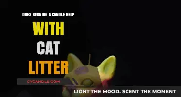 Can Burning Candles Neutralize Cat Litter Odors? A Fresh Perspective