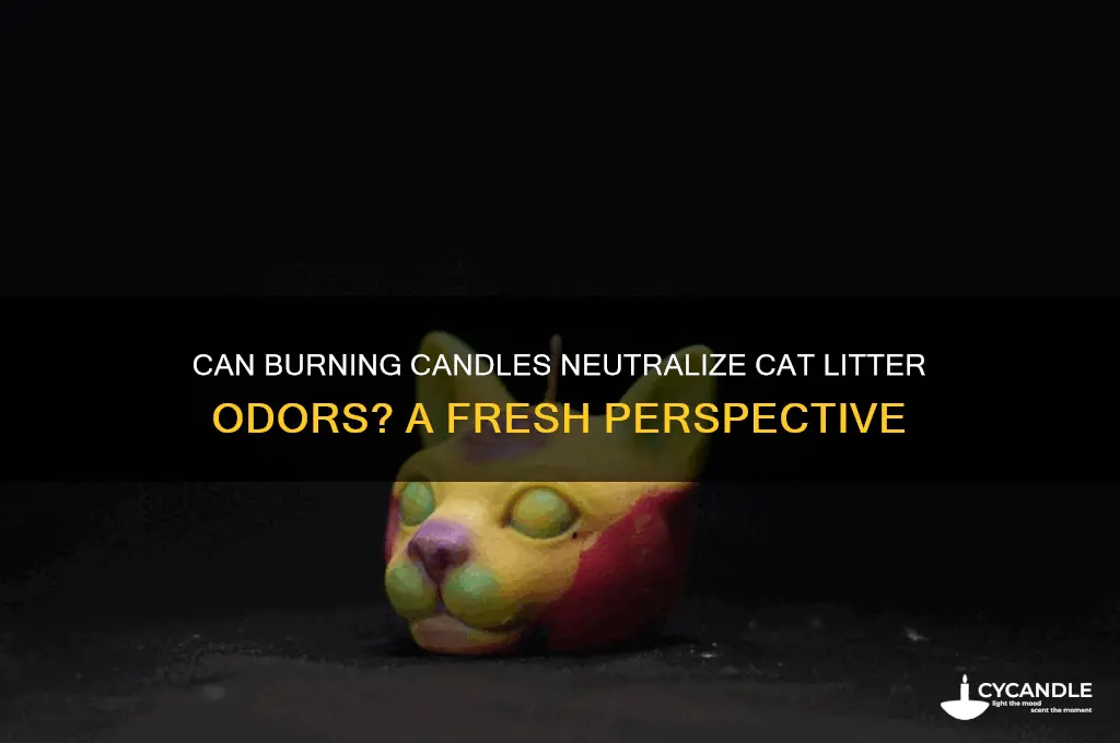 does burning a candle help with cat litter