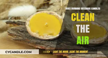 Beeswax Candles: Natural Air Purifiers or Just a Myth?