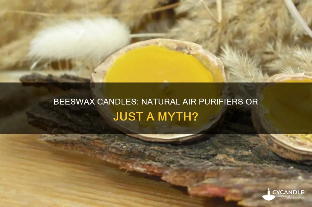 does burning beeswax candles clean the air