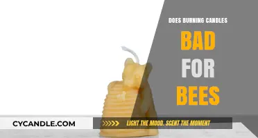 Are Burning Candles Harmful to Bees? Exploring the Impact