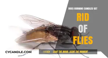 Can Burning Candles Repel Flies? Exploring the Truth Behind the Myth