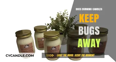 Candlelight Bug Repellent: Fact or Fiction? Exploring the Truth