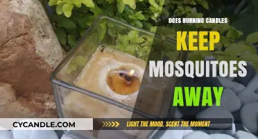 Candlelight and Mosquitoes: Do Burning Candles Really Repel Bugs?