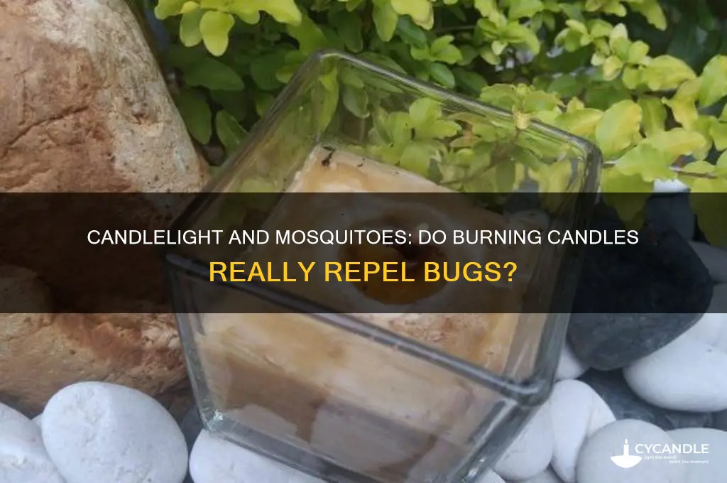 does burning candles keep mosquitoes away