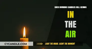 Can Burning Candles Purify Air by Killing Germs? Facts Revealed