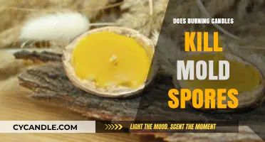 Can Burning Candles Effectively Eliminate Mold Spores in Your Home?