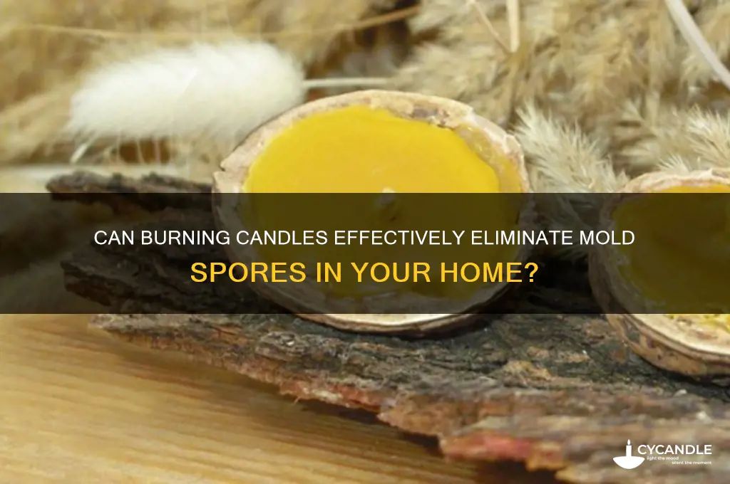 does burning candles kill mold spores
