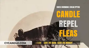Can Burning Eucalyptus Candles Effectively Repel Fleas? Discover the Truth