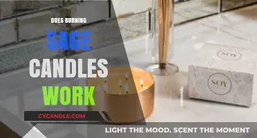 Does Burning Sage Candles Really Work? Exploring the Science and Myths