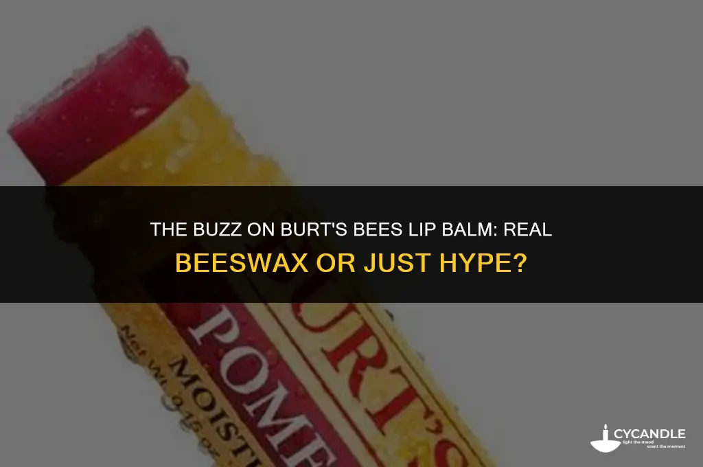 does burts bees lipbalm actually use bees wax