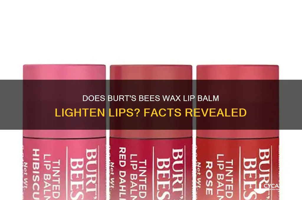 does burts bees wax lip balm make lips lighter