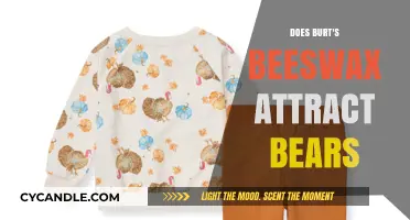 Does Burt's Beeswax Lure Bears? Unraveling the Myth and Facts