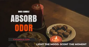 How Candles Absorb Odor and Freshen Your Home