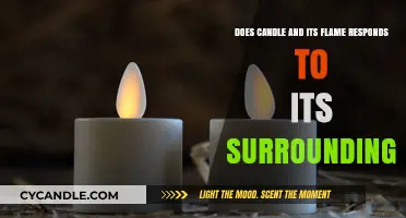 Candle Flames: Sensitive to Surroundings?