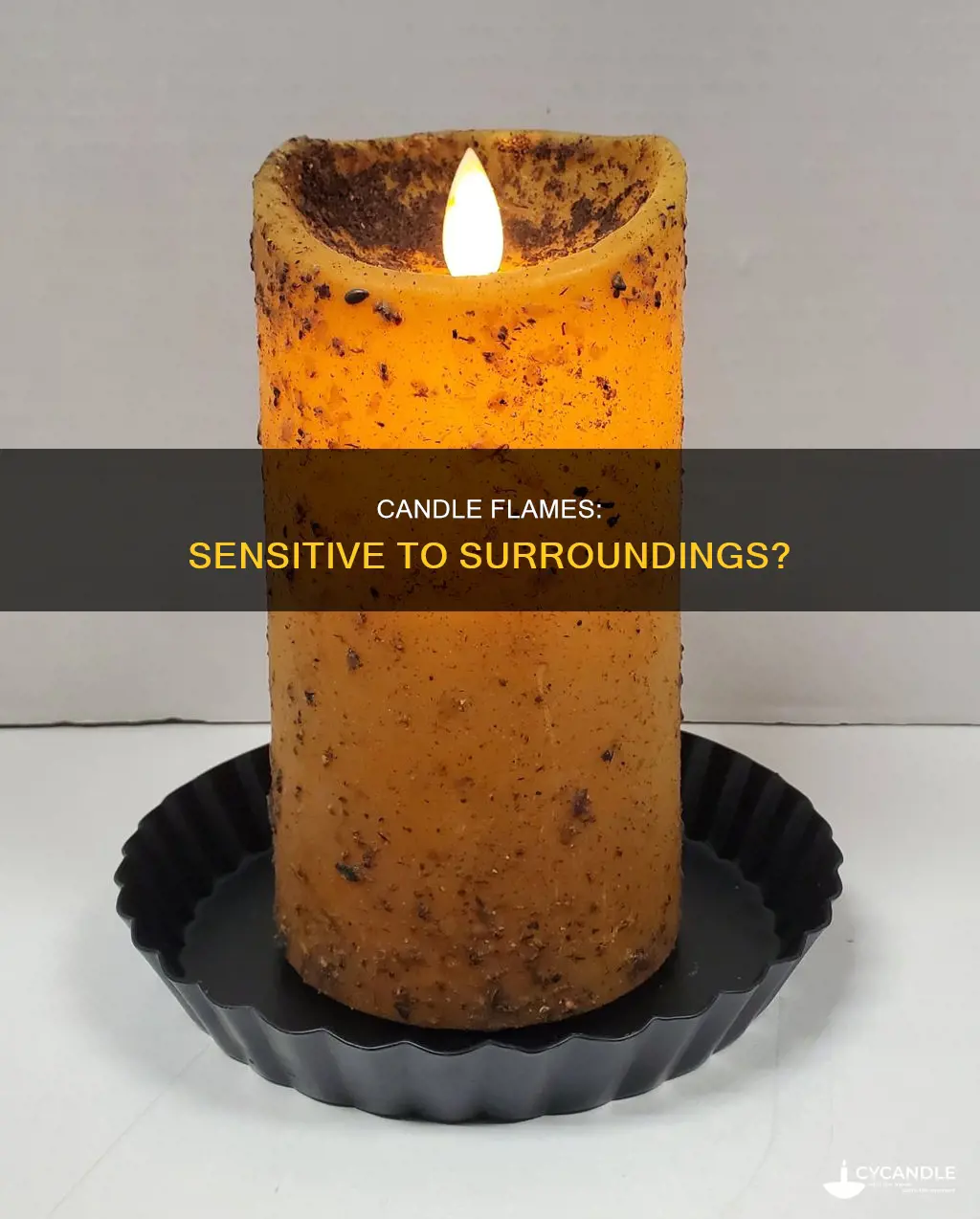does candle and its flame responds to its surroundings