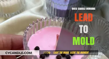 Candle Burning and Mold: Uncovering the Surprising Connection