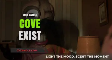 Candle Cove: Fact or Fiction?