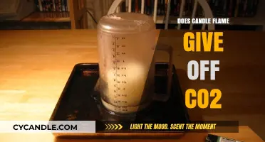 Burning Candles: CO2 Emissions and You