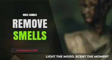 Candles: Odor Neutralizers or Odor Maskers?