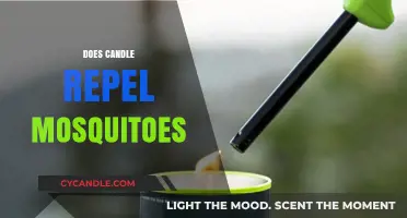 Candles and Mosquitoes: Do They Really Work?