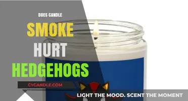 Candle Smoke: Is It Safe for Hedgehogs?