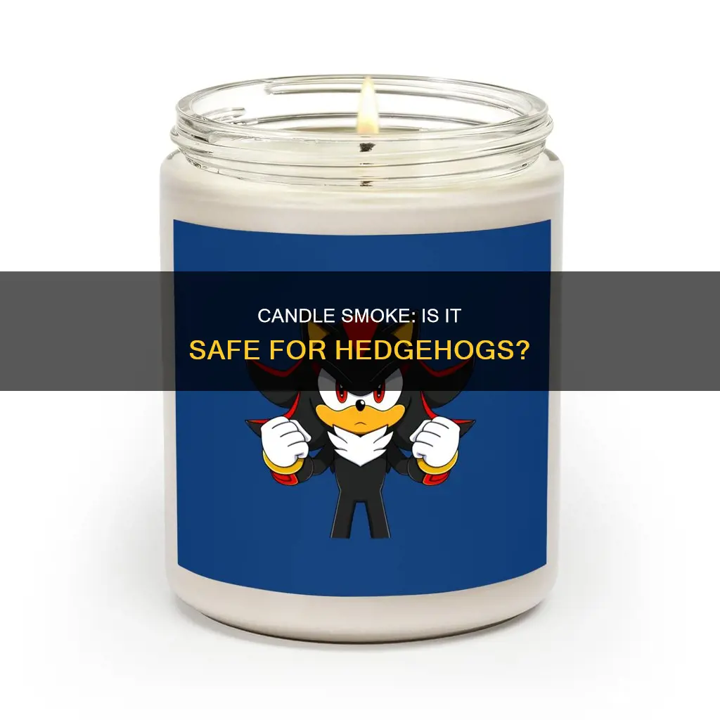 does candle smoke hurt hedgehogs