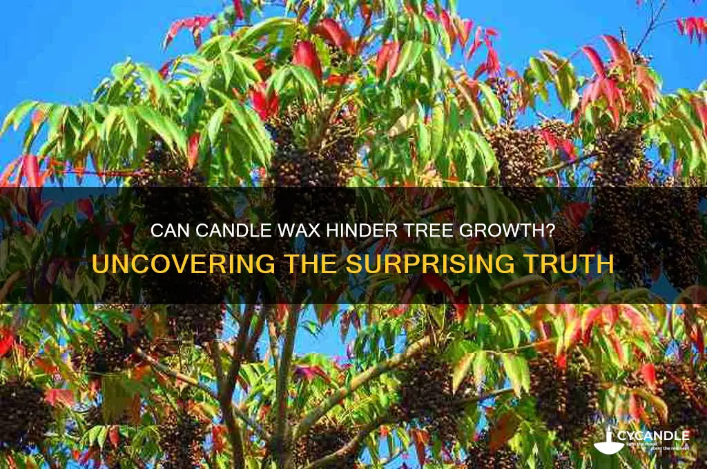 does candle wax stop trees from growing