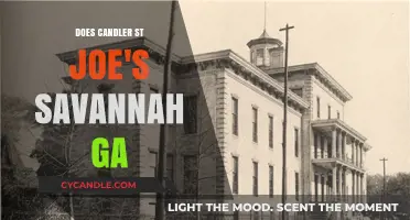 Candler Hospital: A Comprehensive Guide to St. Joseph's Savannah, GA