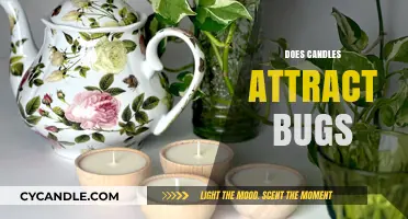 Candles and Bugs: A Surprising Truth