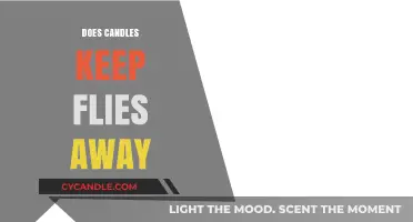 Natural Fly Repellent: Do Candles Keep Flies Away?