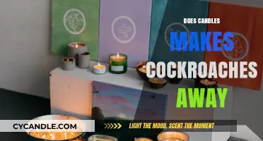 Candles as Cockroach Repellents: Fact or Fiction? Unveiling the Truth