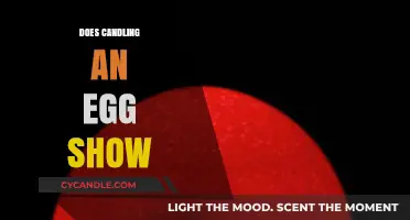 Candling Eggs: What Does the Light Show?