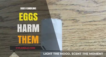 Candling Eggs: Harmful or Helpful?