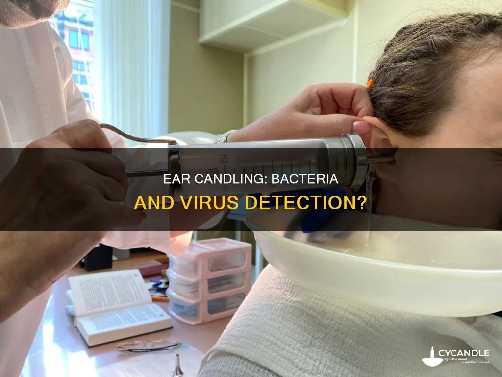 does candling reveal bacteria and viruses