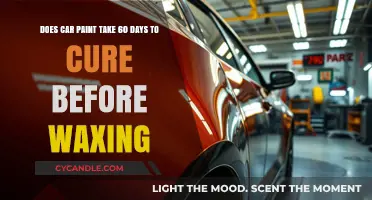The Truth About Car Paint Curing Time Before Waxing