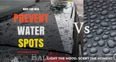 Protect Your Ride: The Truth About Car Wax and Water Spots