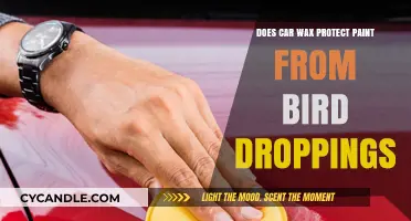 Shielding Your Car's Paint: The Protective Power of Wax Against Bird Droppings