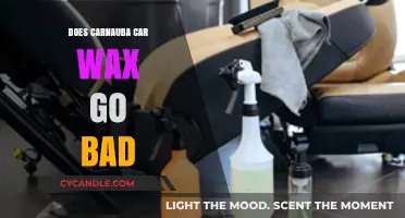 The Shelf Life of Carnauba Car Wax: Does It Go Bad?