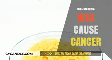 Unveiling the Truth: Carnauba Wax and Cancer Claims Debunked