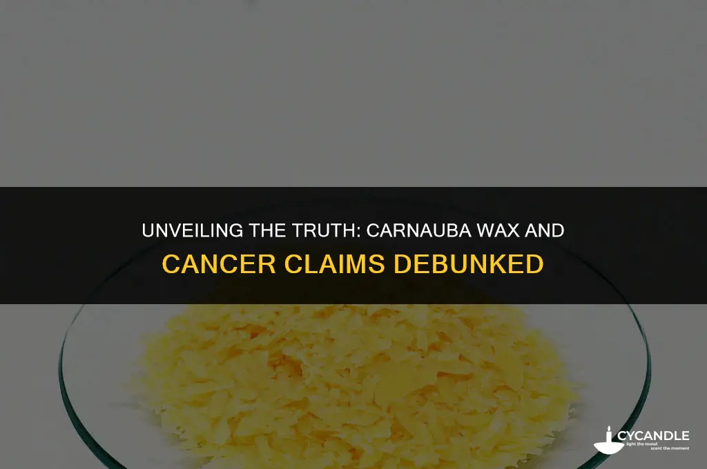 does carnauba wax cause cancer